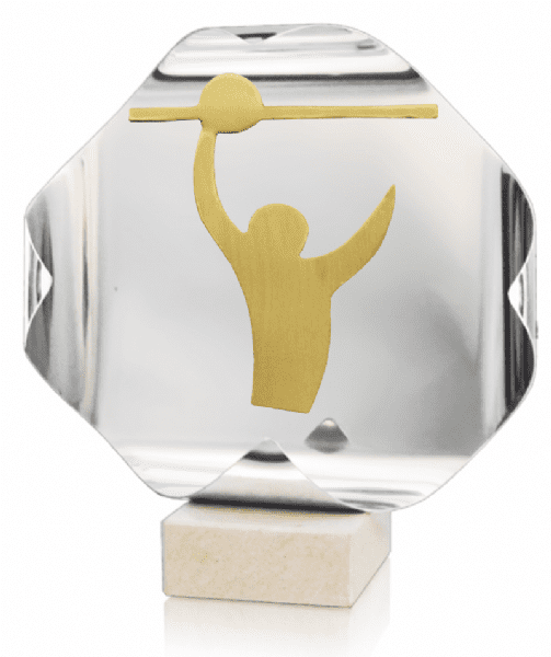 trofeo-de-voleybol